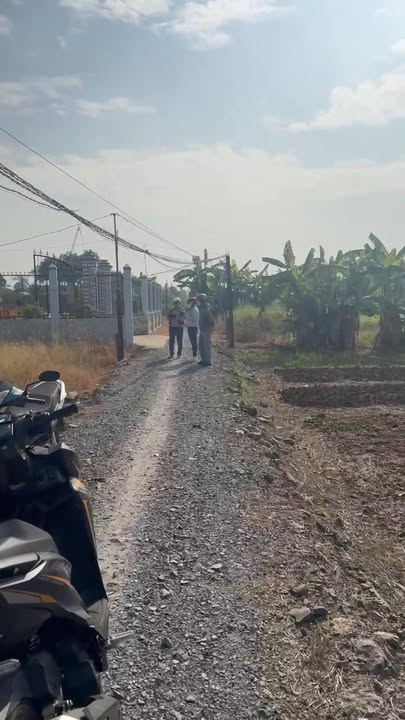 Đất vườn Mỹ Lộc Cần Giuộc 500m² - Sổ hồng sẵn, tiềm năng sinh lời!