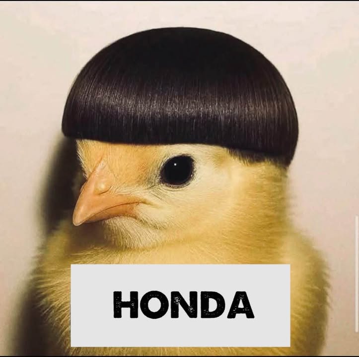 Bán Đất Nền Hòa Liên Đà Nẵng 120m² - Sẵn Sàng Xây Dựng