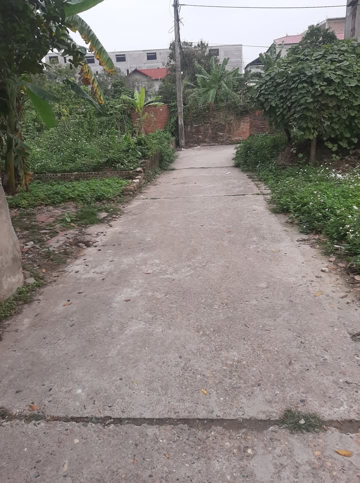 Bán đất Xuân Lê 90m² giá 2.2 tỷ - Sổ đỏ vuông vắn, gần hồ