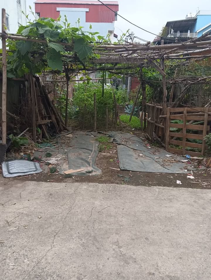 Đất nền Phúc Lợi Long Biên 50m² - Sổ đỏ chính chủ, giá 6.9 tỷ