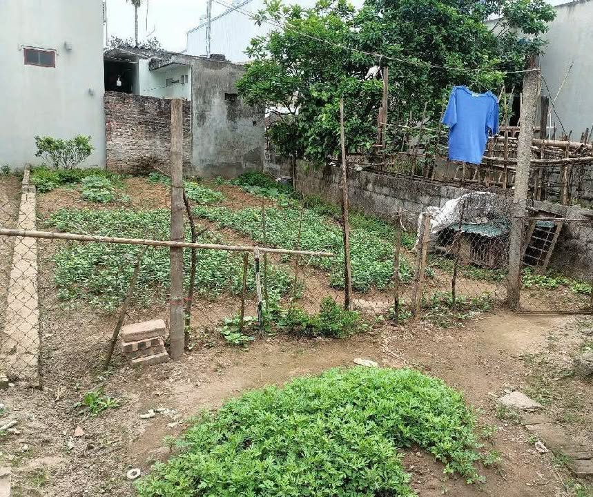 Đất nền Vạn Phúc Thanh Trì 81m² - Sổ đỏ chính chủ, nở hậu!