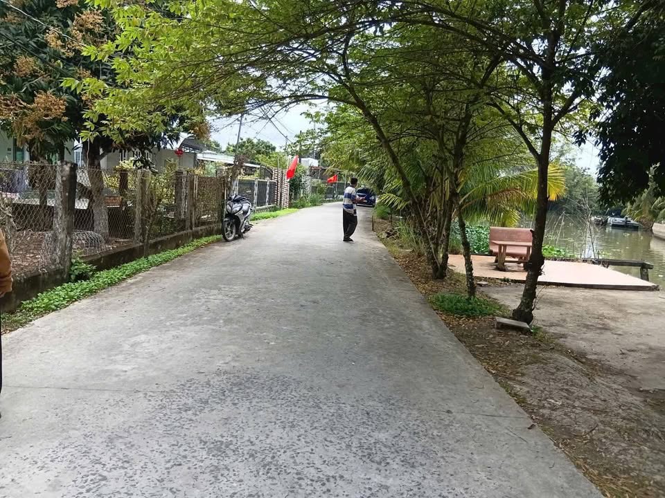 Đất nền Thới Lai, Cần Thơ 4296m² - Sổ đỏ chính chủ, ô tô tận nơi!