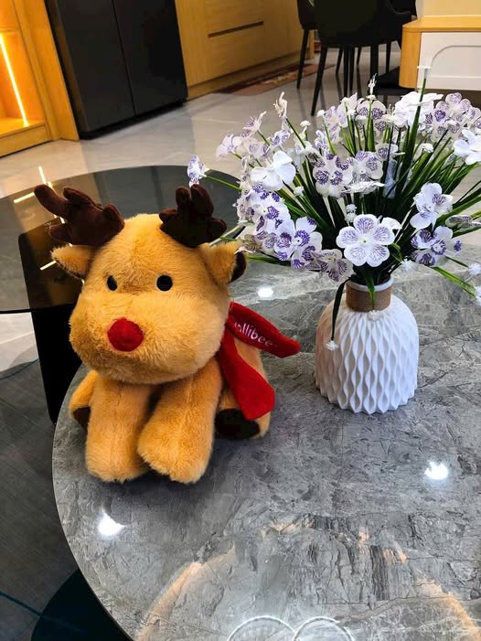 Nhà 40m² Vạn Kiếp, Bình Thạnh - 3PN, Full Nội Thất, Giá 6.55 Tỷ