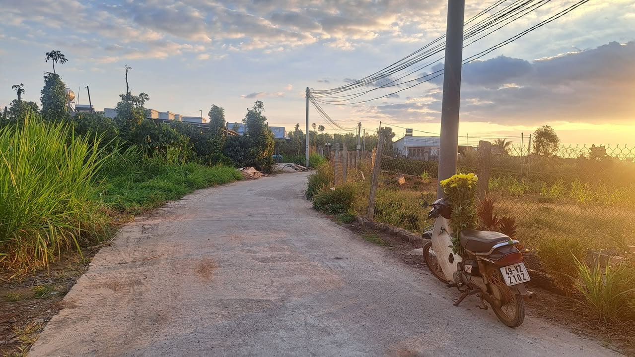 Đất nền Tân Hội Đức Trọng 195m² - Sổ đỏ chính chủ, giá đầu tư!