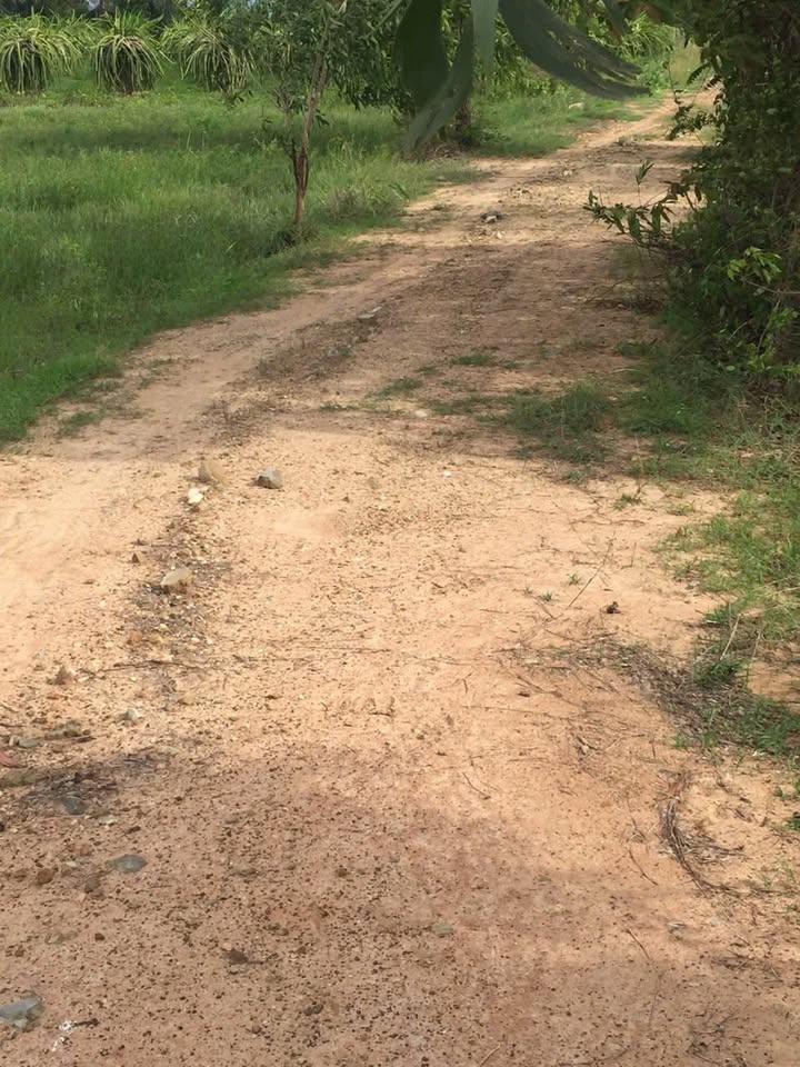 Bán Đất Vườn 5300m² Hàm Thuận Bắc - Sổ Hồng Sẵn, Giá 530 Triệu