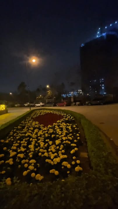 Đất Lô Góc Nguyễn Văn Huyên (60m²) - Sổ Đỏ Sẵn Sàng, Ngay Trục Phát Triển