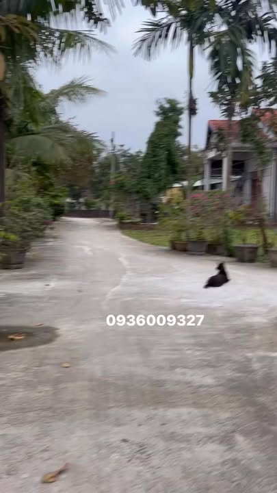 Bán Đất Thanh Khê Đà Nẵng 124m² - Vuông Vức, Giá 9xx Triệu