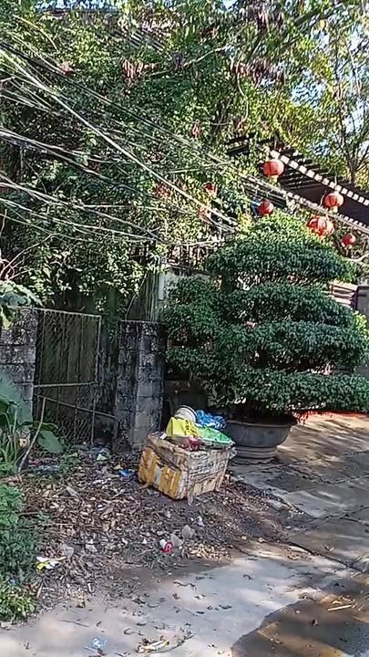 Bán đất Phú Minh Phú Xuyên 80m² hơn 5 tỷ - Sổ đỏ chính chủ