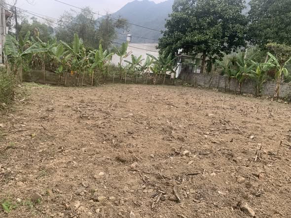 Bán Đất Nền Võ Nhai, Thái Nguyên 260m² - Sổ Đỏ, Phong Thủy Tốt