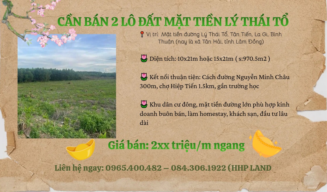 Đất Mặt Tiền Lý Thái Tổ Lagi 970.5m² - Đầu Tư Sinh Lời Vượt Trội
