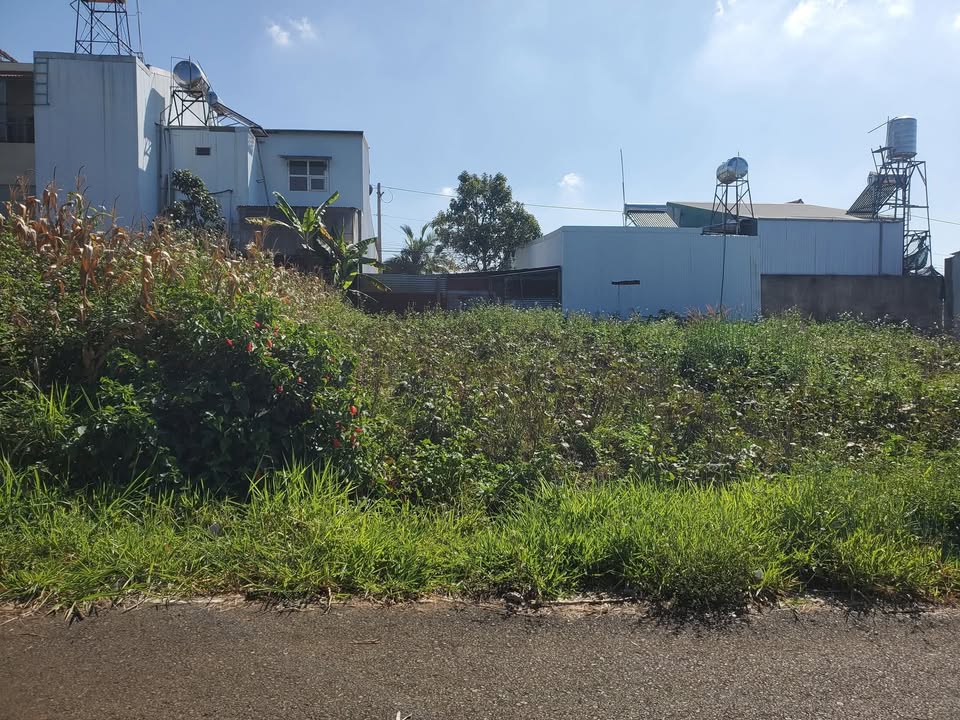 Đất Nền Di Linh 140m² Hướng Tây - Sổ Đỏ Sẵn Sàng - Giá Tốt Đầu Xuân