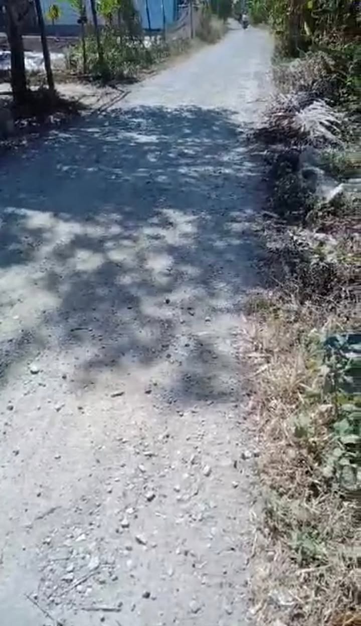 Đất Vườn Tam Giang Tây 70.000m² 1 tỷ - Đầu tư sinh lời ngay!