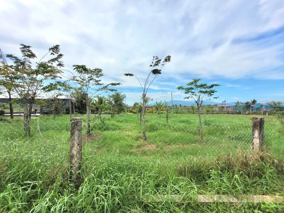 Bán Gấp 2 Lô Đất Hàm Chính 164m² - Sổ Sẵn Chính Chủ - Giá 410 Triệu/Lô