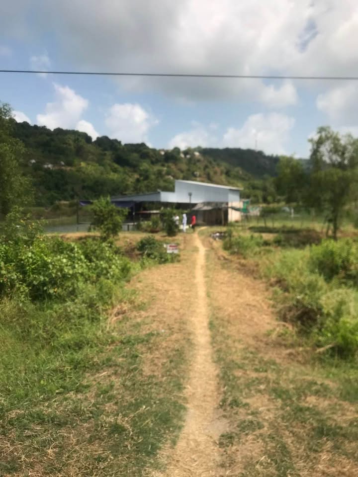 Bán đất vườn Rạch Giá 10.000m² giá 4 tỷ - Nghỉ dưỡng lý tưởng