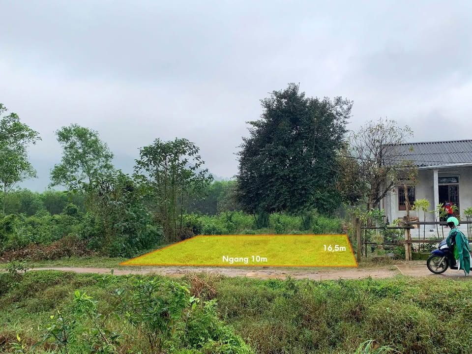 Đất nền Vinh Ngạn, Phong Xuân 179m² - Sổ đỏ chính chủ, giá 260 triệu