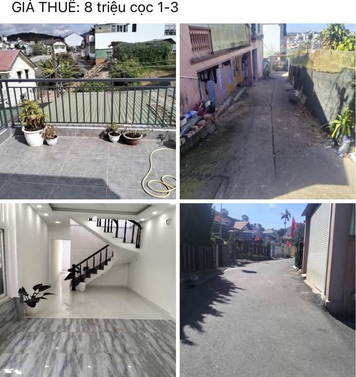 Cho Thuê Nhà Nguyên Căn P9 Đà Lạt 104m² - 8 Triệu/Tháng, Ô Tô Tới Tận Nơi