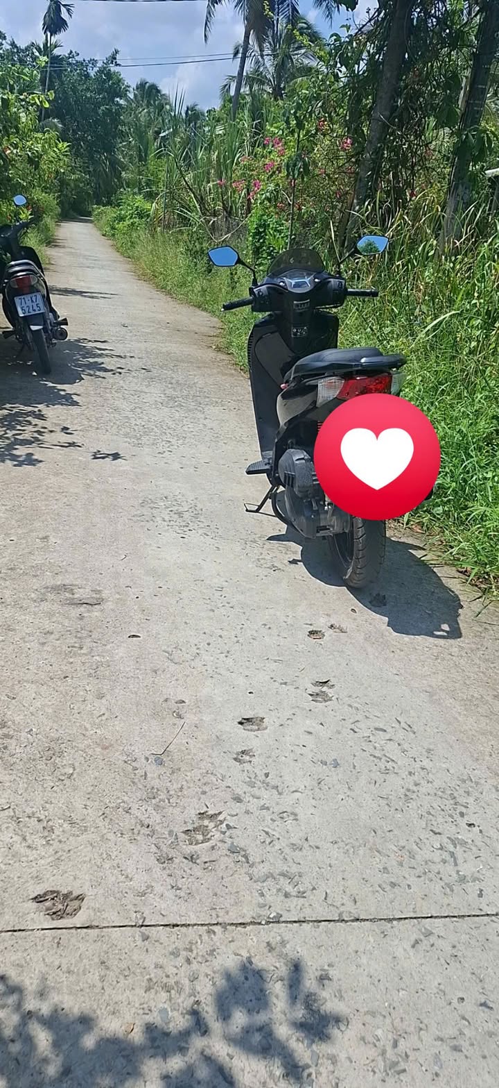 Đất Vườn Bến Tre 3000m² - Giá Đầu Tư 550 Triệu Tại Phước Mỹ Trung