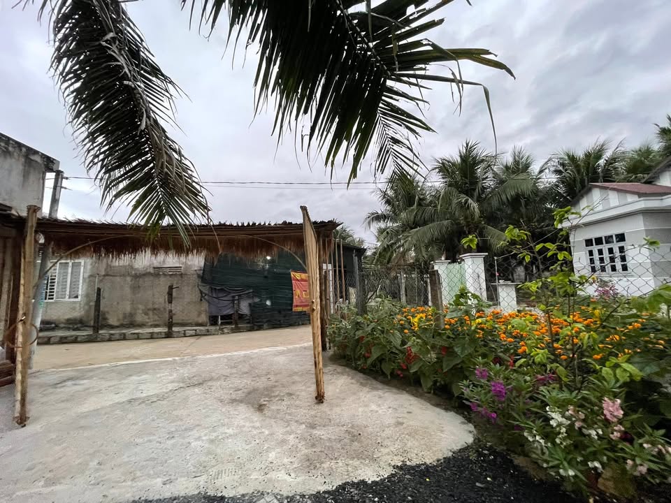 Đất Vườn Diên Khánh 382m² - View Cánh Đồng Mát Mẻ, Sổ Đỏ Sẵn Sàng