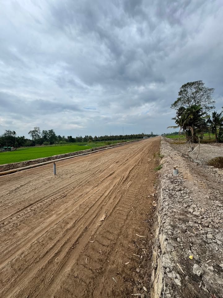 Bán Gấp Mặt Tiền Lộ 917, Ô Môn, Cần Thơ - 339m² Full Thổ Cư, Giá Đầu Tư