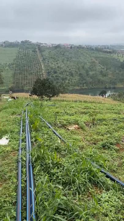 Đất Nông Nghiệp 3ha View Hồ Xã Nậm Njang, Đắk Glong - Sổ Hồng Sẵn Sàng