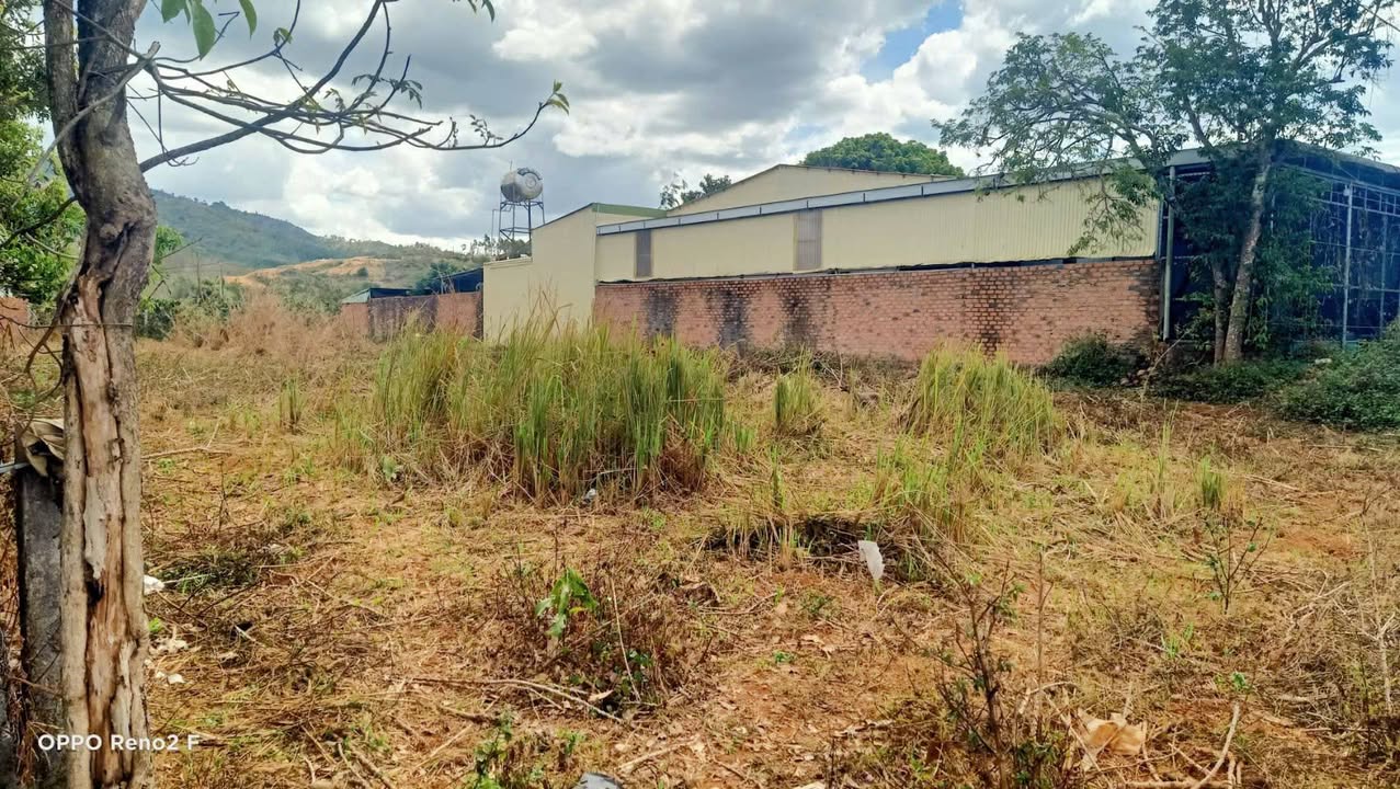 Bán Đất Mặt Tiền QL14 Chư Păh Gia Lai 240m² - Sổ Hồng Sẵn Sàng