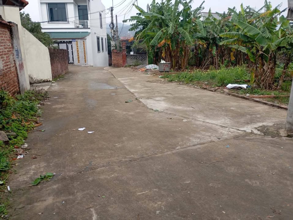 Đất Nền Bắc Ninh 124m² - Hơn 1 Tỷ, Gần KCN Quế Võ, Tiềm Năng Sinh Lời