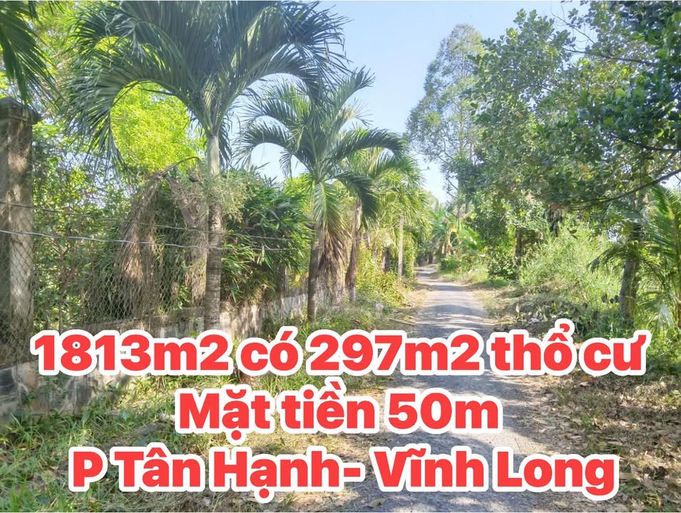 Đất nền Phường Tân Hạnh, TP Vĩnh Long 1813m² - Tiềm năng tăng giá