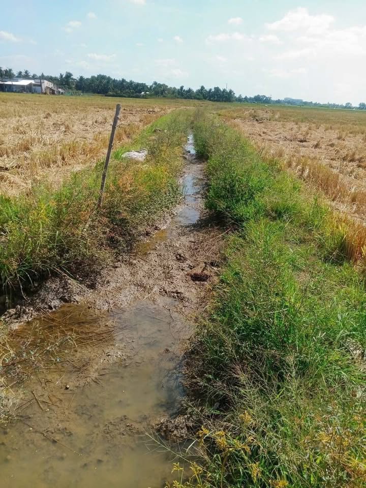 Bán 12 công đất vườn Phường 5 Sóc Trăng 1.32 tỷ - Đầu tư dài hạn