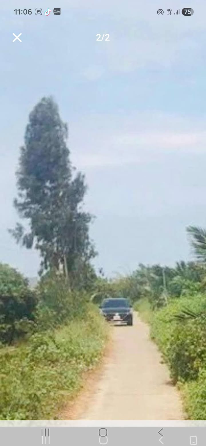 Đất Nền Cù Lao Dung 20.353m² - Mặt Tiền Rộng 125m - Giá Đầu Tư Tốt