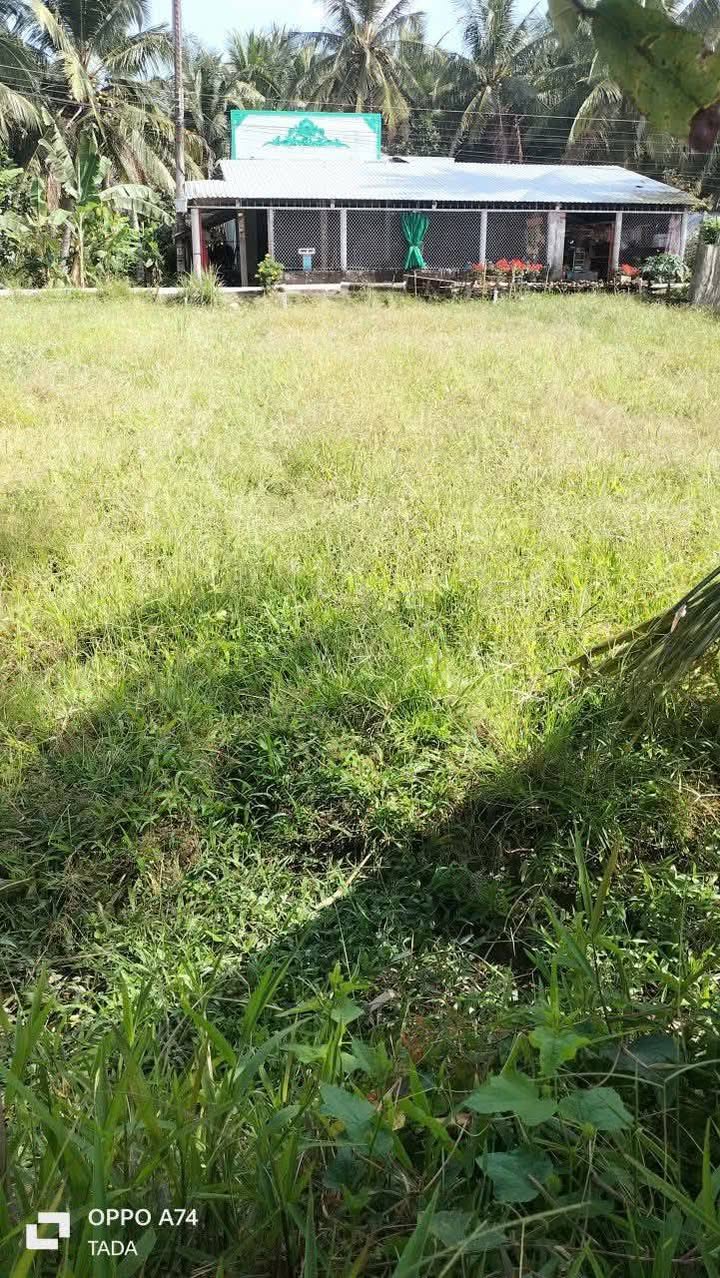 Bán Gấp Liền Kề 105m² Xã Hòa Bình, Trà Ôn, Vĩnh Long - Sổ Hồng Sẵn Sàng