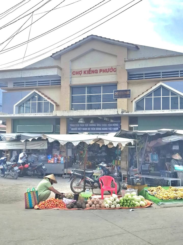 Đất nền Gò Công Đông 264m² 339 triệu - Xây dựng tự do!