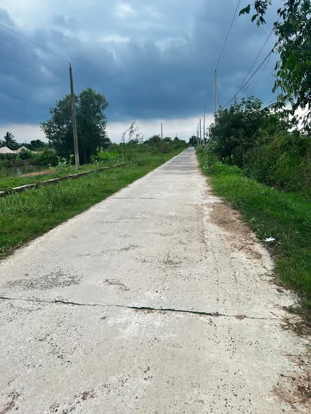 Đất Vườn Hàm Thuận Bắc 1.339m² - Sổ Hồng Rõ Ràng - Giá Đầu Tư 750 Triệu