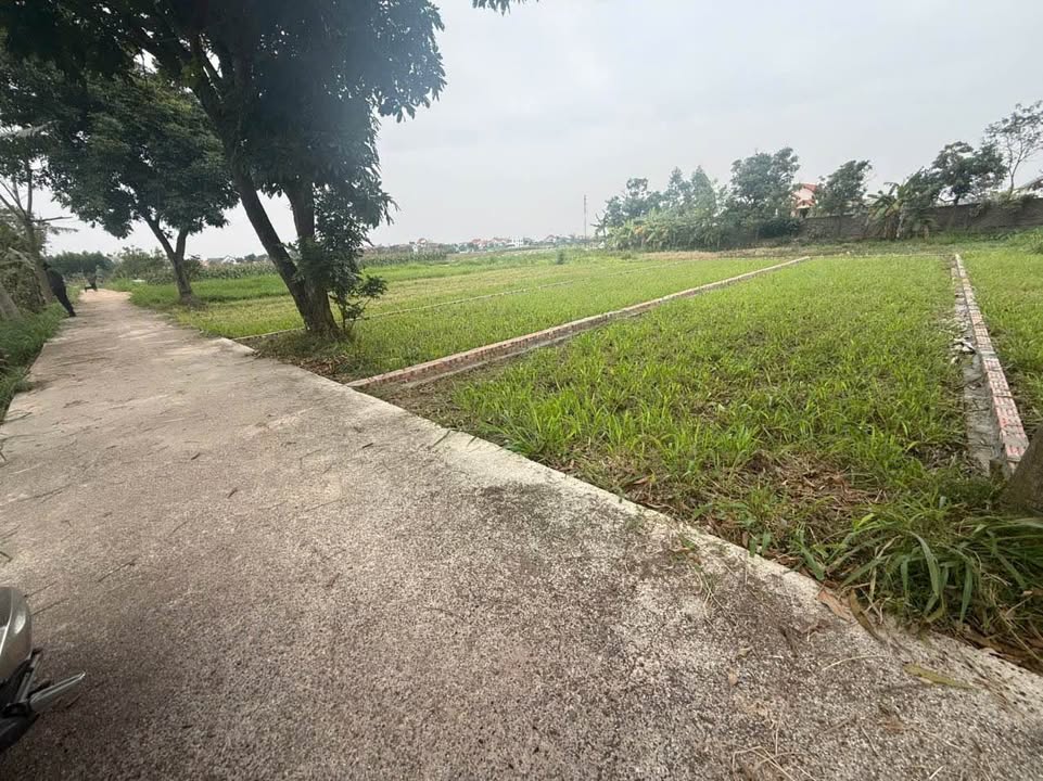 Đất nền Trung Kênh Lương Tài 90m² giá 1.2 tỷ - Chủ ngộp bán gấp!