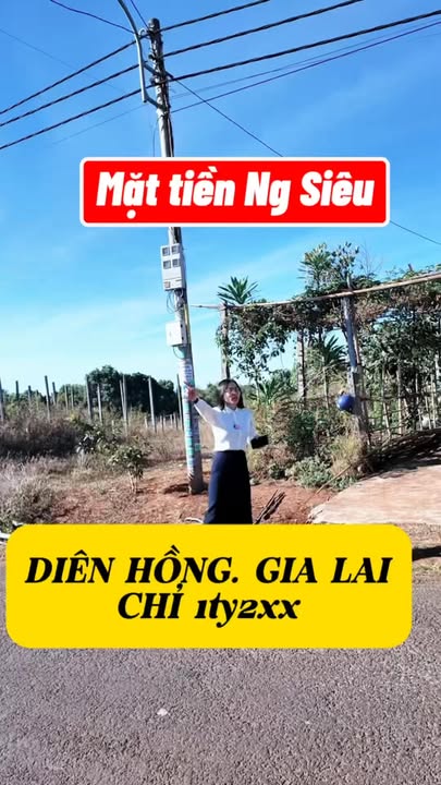 Mặt tiền Diên Hồng Pleiku 193m² - Vị trí đẹp, giá 1.2 tỷ!