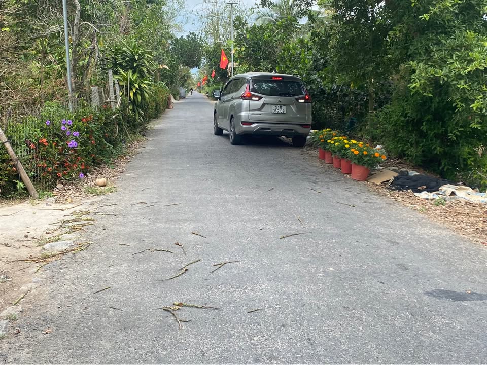 Bán Gấp Vườn Dừa 5000m² Vĩnh Long - Sổ Đỏ Giá Tốt