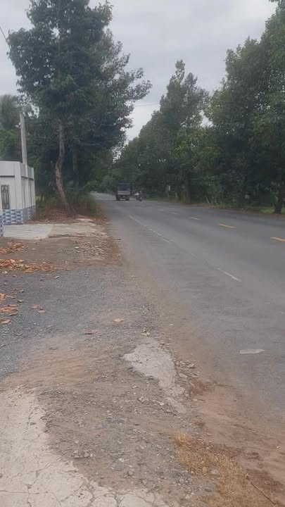 Bán đất Giồng Trôm 4300m² mặt tiền ĐT 885 - Tiềm năng sinh lời cao!