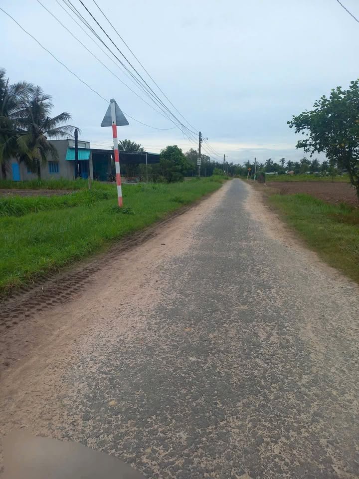 Bán Gấp Đất Vườn Tây Ninh 9052m² - Sổ Hồng Sẵn Sàng