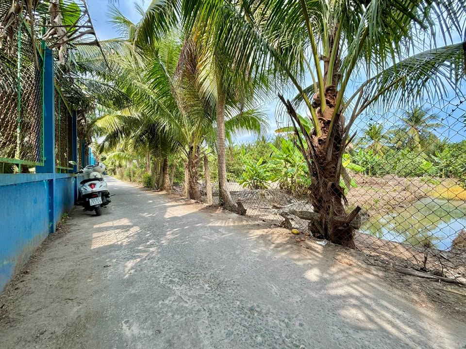 Đất Vườn 570m² Ô Tô Tới Đất, Gần Ngã 3 Song Thuận, Tiền Giang