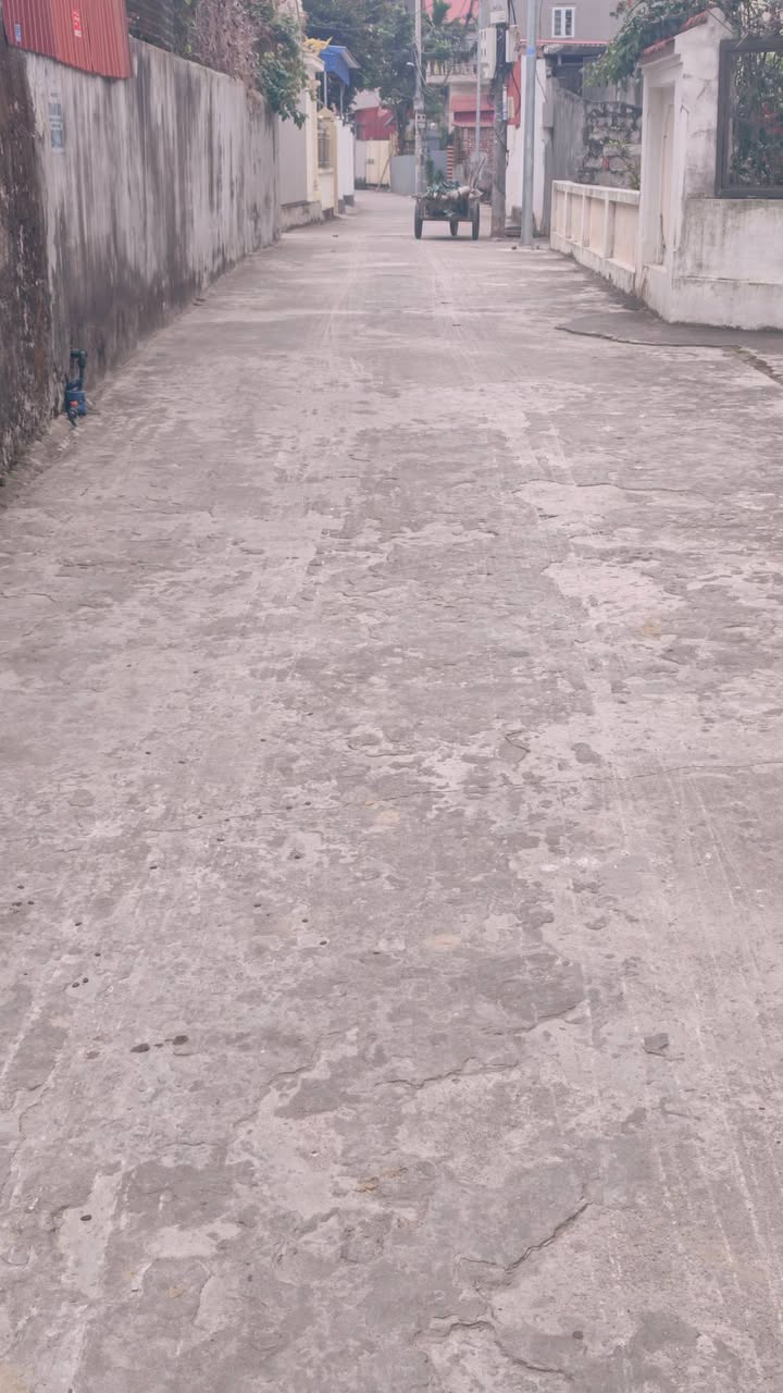 Đất nền Bạch Đằng Tiên Lãng 179m² giá 1 tỷ - Sổ đỏ chính chủ