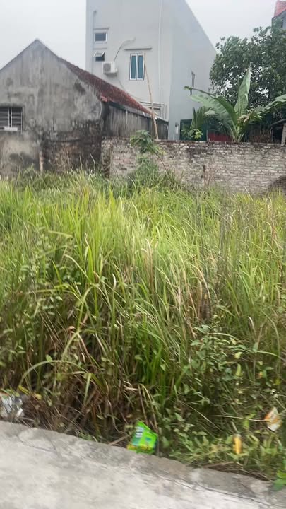 Bán Đất Hưng Yên 77.5m² - Ngay Sau Trường Hiệp Cường 2, Kim Động - Giá Tốt