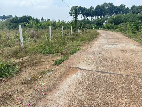 Bán Đất Láng Lớn Châu Đức 6000m² Giá 6 Tỷ - Sổ Đỏ Chính Chủ