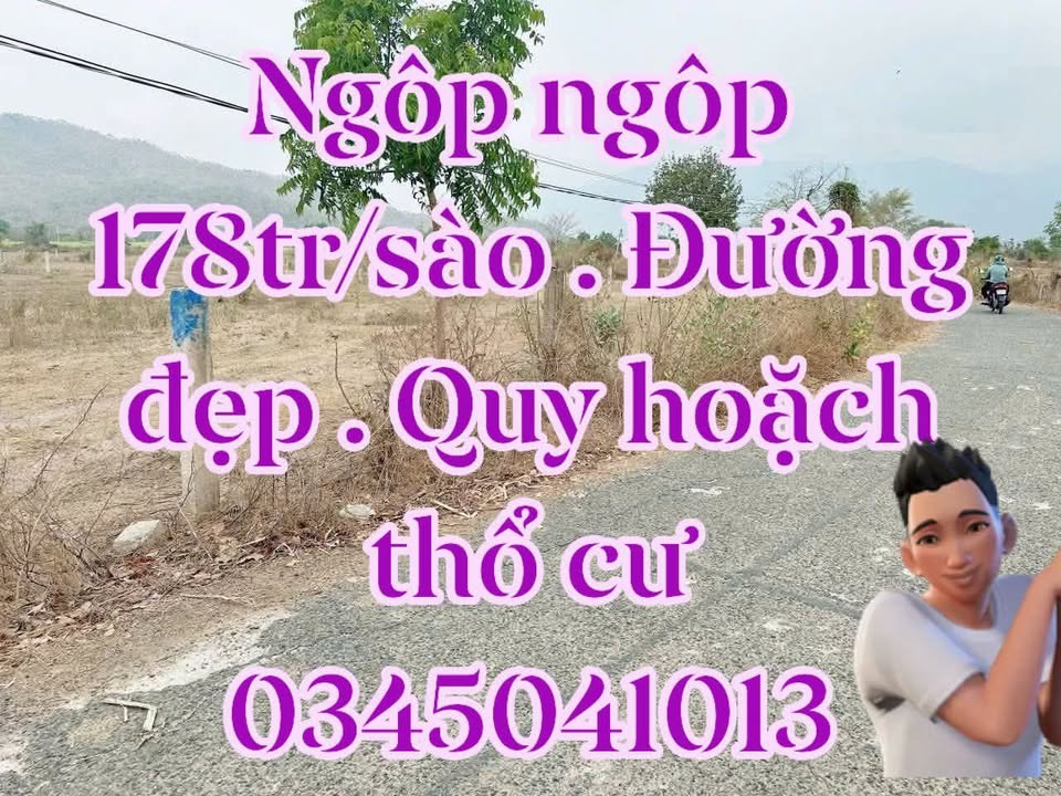Đất nền Thuận Minh, Hàm Thuận Bắc 2900m² - Quy hoạch thổ cư, ô tô quay đầu!