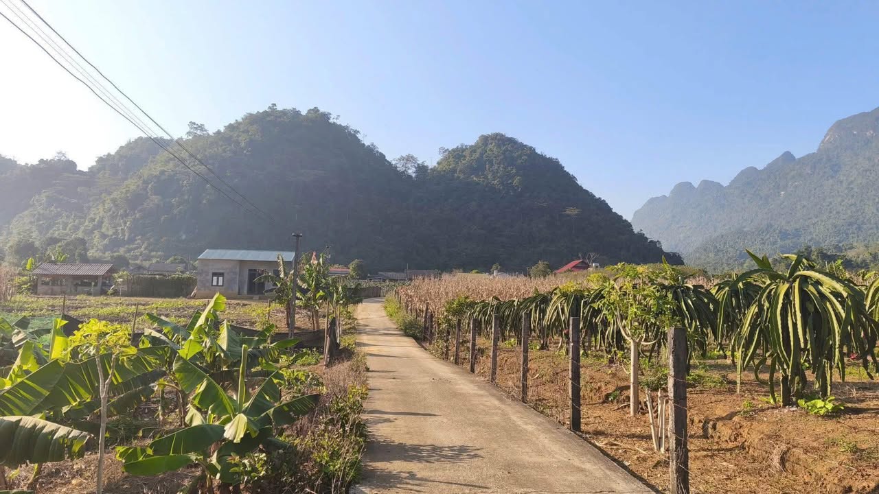 Đất Vị Xuyên Hà Giang 6090m² - Sổ đỏ chính chủ, 80m mặt tiền!