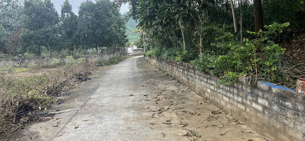 Đất vườn Hà Thượng Đại Từ 1000m² giá 4xx triệu - Nghỉ dưỡng lý tưởng!