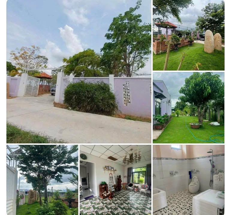 Bán Gấp Nhà Vườn 1000m² Hàm Thắng - Sổ Hồng Riêng, Ô Tô Tới Tận Nhà