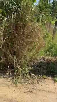 Đất Nền Nghĩa Mỹ - Ái Nghĩa, Đại Lộc (144m²) - Sẵn Sàng Đầu Tư