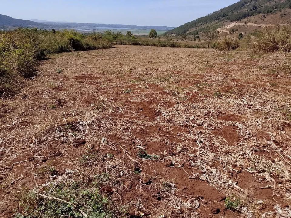 Đất Farm 2880m² view Chư Đăng Ya - Sẵn sàng đầu tư