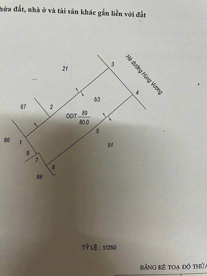 Bán nhà mặt phố Hùng Vương TP Nam Định 80m² - Mặt tiền kinh doanh đắc địa!