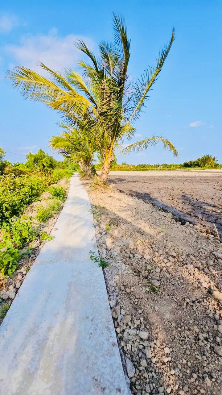 Đất Nền 2 Mặt Tiền Kênh Thủy Lợi - Phường An Xuyên, Cà Mau - 1000m² Giá Tốt