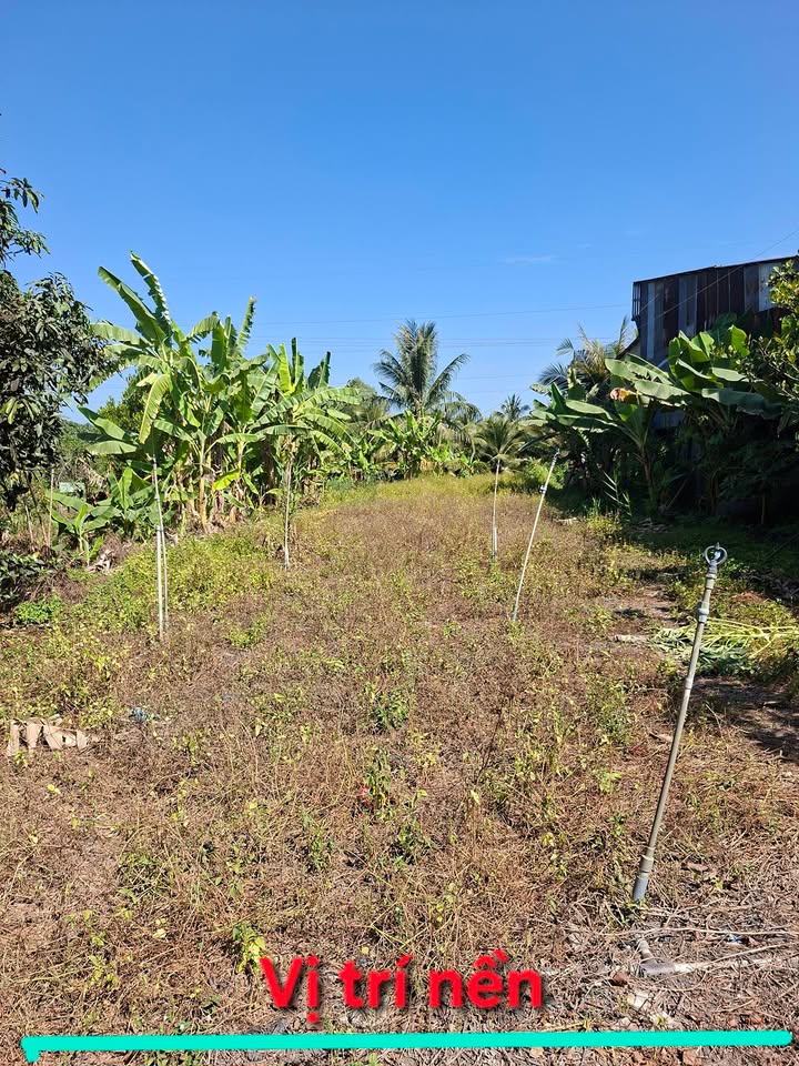 Đất nền Phú Tân An Giang 587m² giá 1.45 tỷ - Sổ đỏ chính chủ!